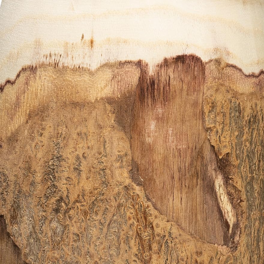 Creative Co-Op 12.5" H Carved Paulownia Wood Vase with Live Edge (Each one Will Vary)